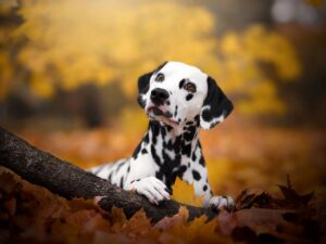 Getty-Images-1357481031