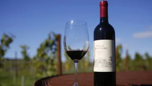 $5.5 Million Wine Heist: The Largest Ever in Tuscany?
